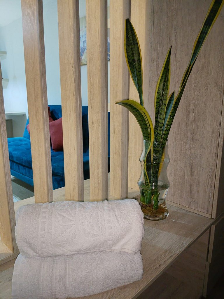 Suite Candelaria Las Aguas
